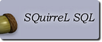 squirrel_k